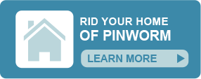 Tips to rid your house of pinworm