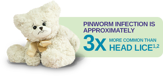 PINWORM infection is 3x more common than head lice