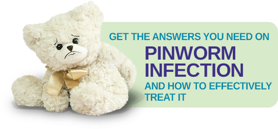 Pinwormok és roundwormok megelőzése. Hasznos tulajdonságok, Pinwormok egy felnőtt ürülékében
